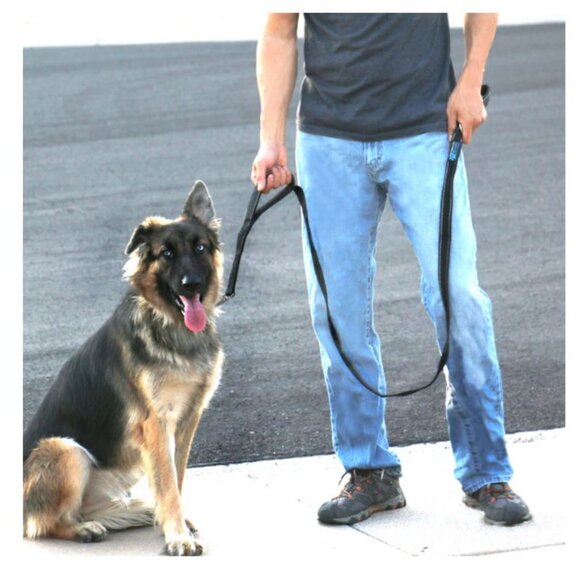 Dog Collar & Leash: Matching Red Reflective Collar & 6-ft Leash, Medium - Picture 6 of 6